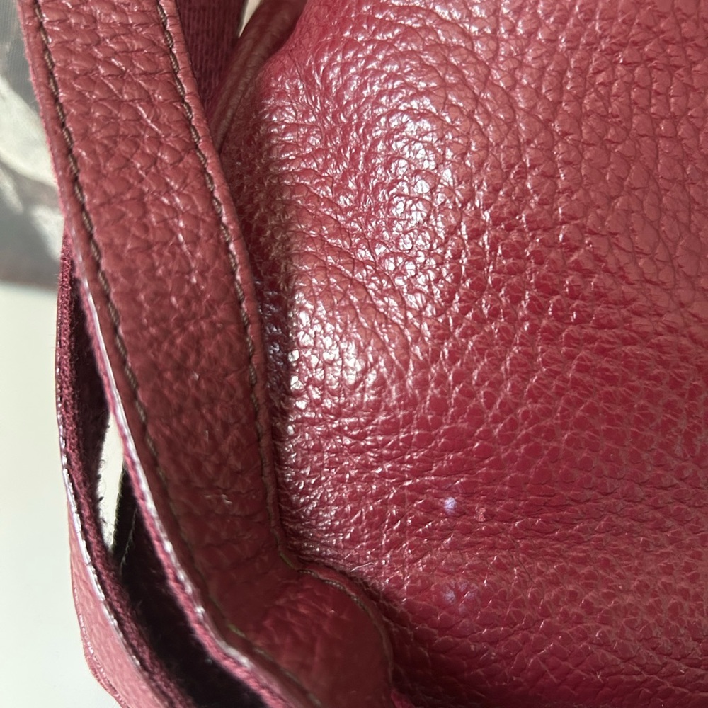 Fossil Pebbled Leather Crossbody Bag in Burgundy - Picture 7 of 10